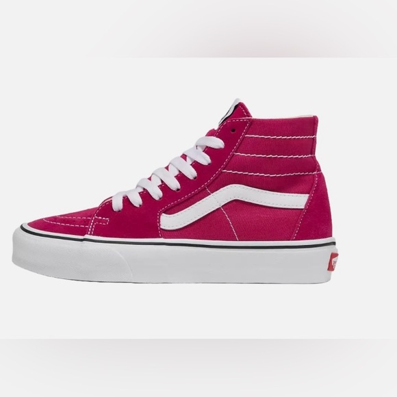 Vans Other - VANS Skateboard Shoes